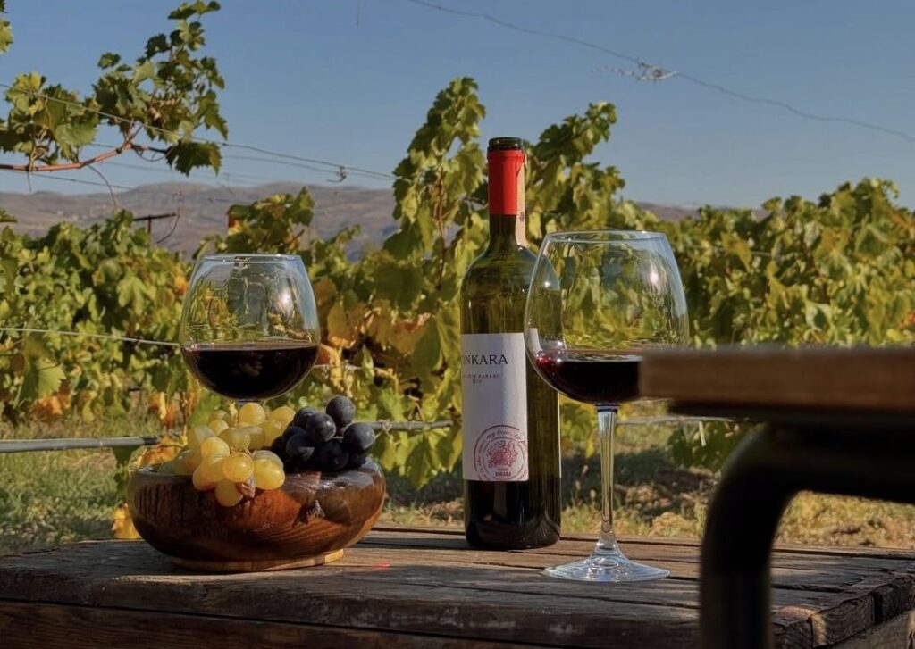 Wine Tasting Tours and Vineyards Around Bodrum