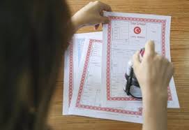 Real Estate Agencies In Bodrum