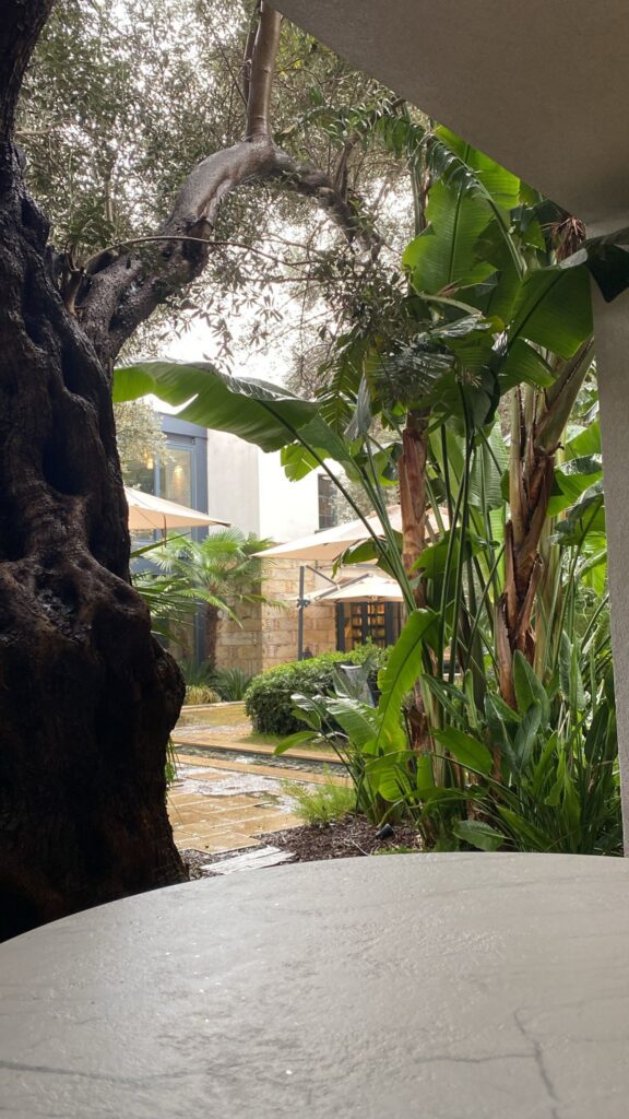 Discovering Zai Yaşam