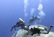 Private Diving Tour in Bodrum Private Diving Tour in Bodrum
