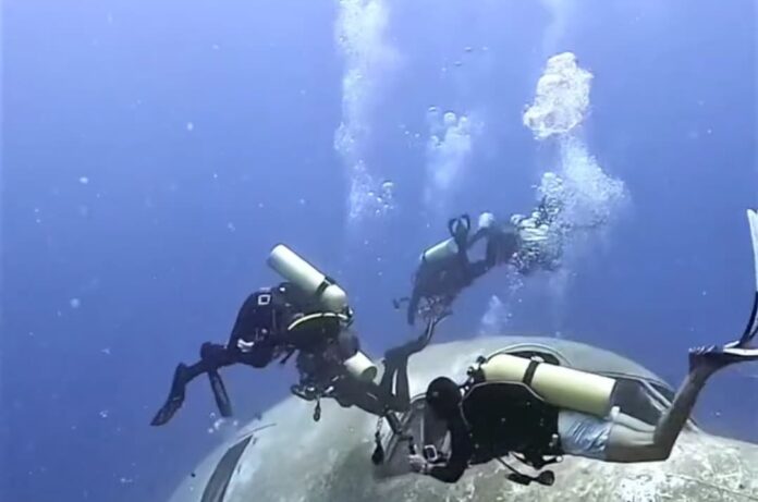 Private Diving Tour in Bodrum