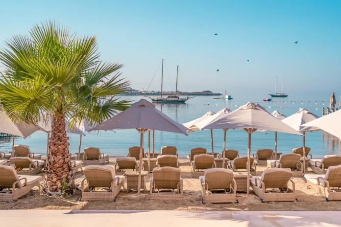 Navigating the Summer Swell