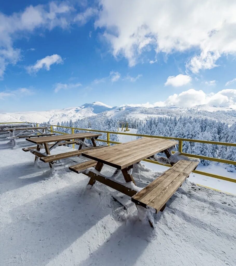Book Uludag Ski Hotel