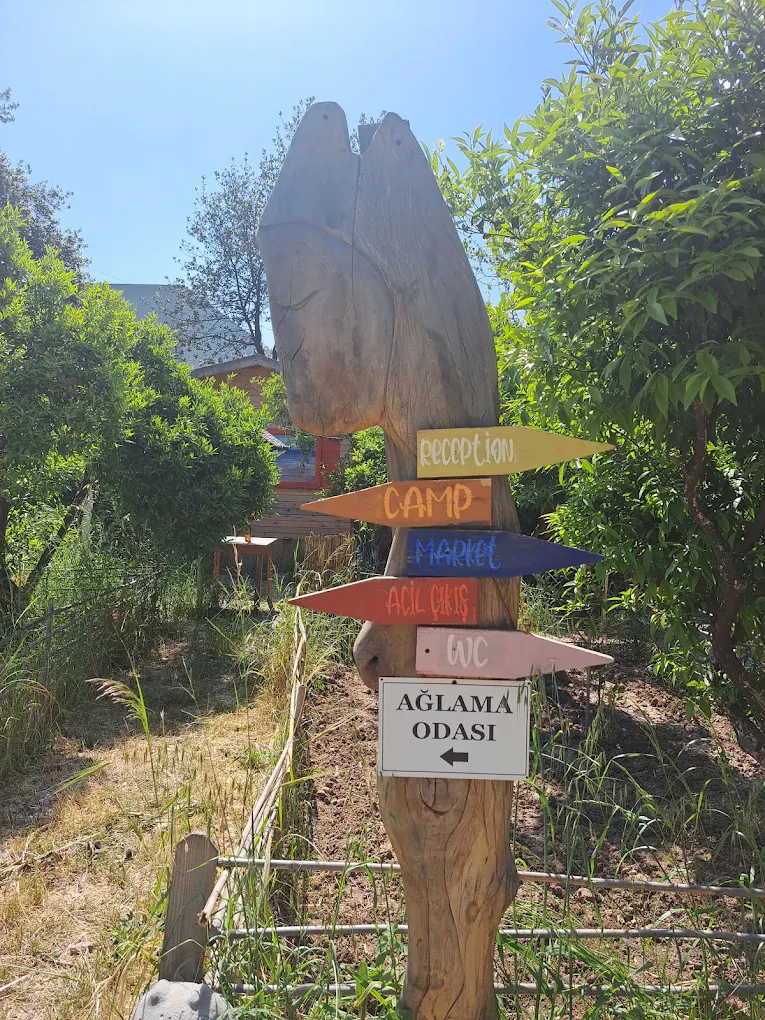 Best Campings in Bodrum