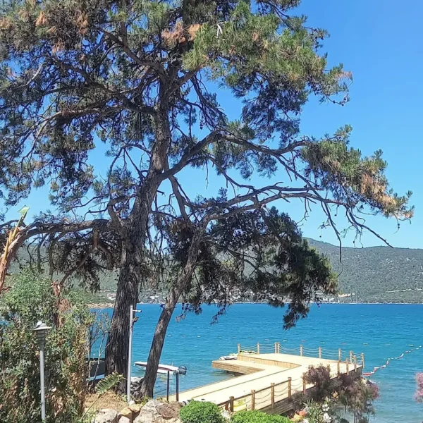 The Elysium Yalıkavak Bodrum 