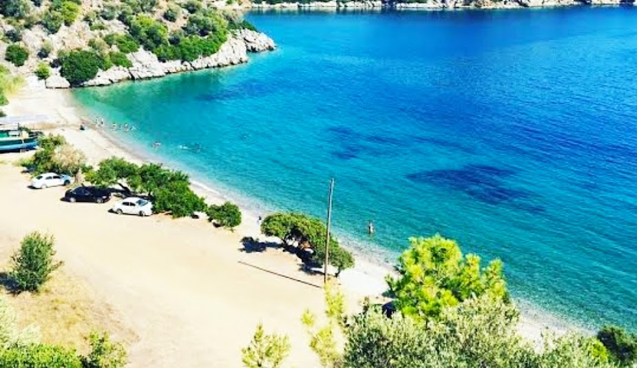 Çökertme Bay Milas