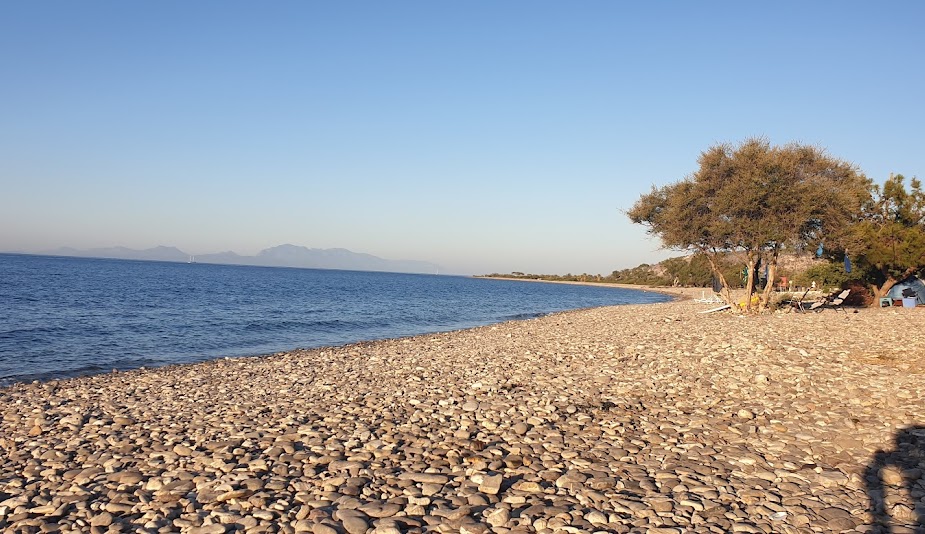 Çökertme Bay Milas