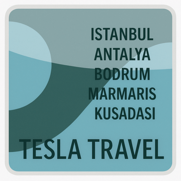 Tesla Travel