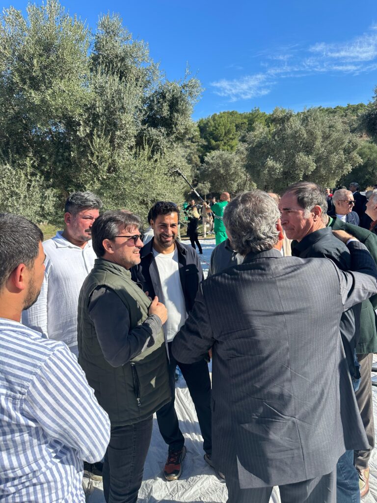 11th International Milas Olive Harvest Festival 2025 