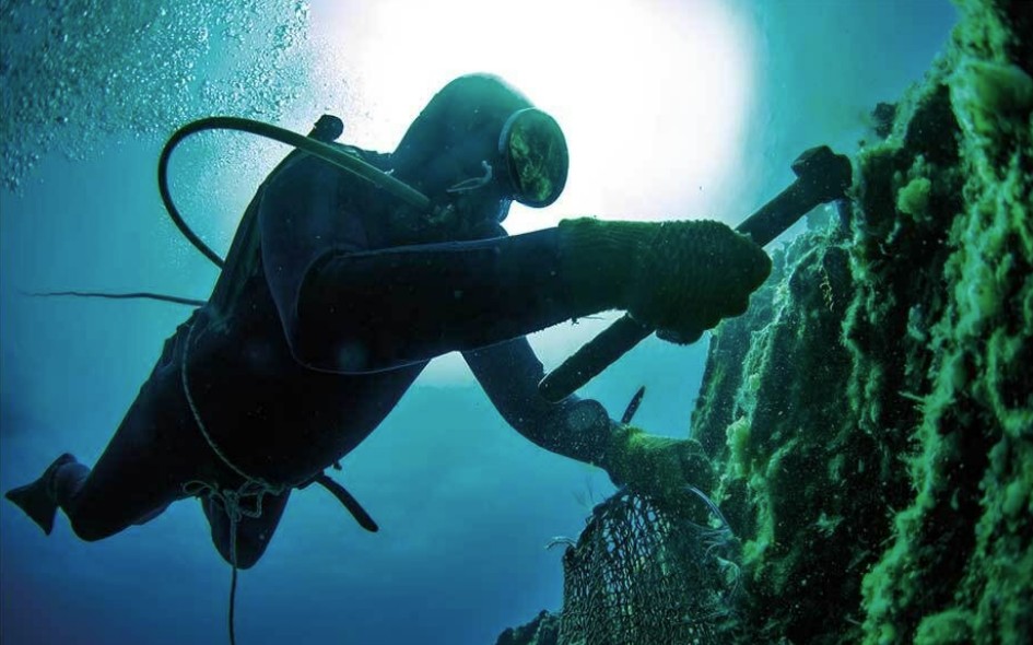 Turkish Innovator M. Mert Gökalp 