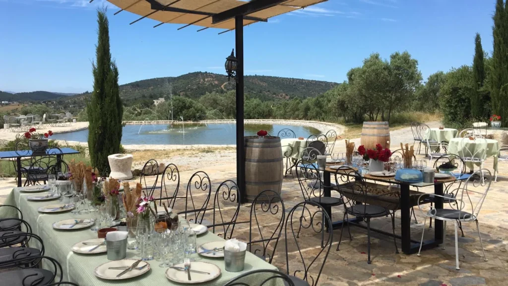 Karnas Vineyards Bodrum VIP