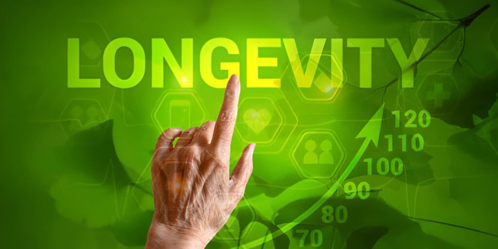 Bodrum Longevity Hotels 2026