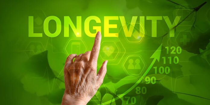 Bodrum Longevity Hotels 2026